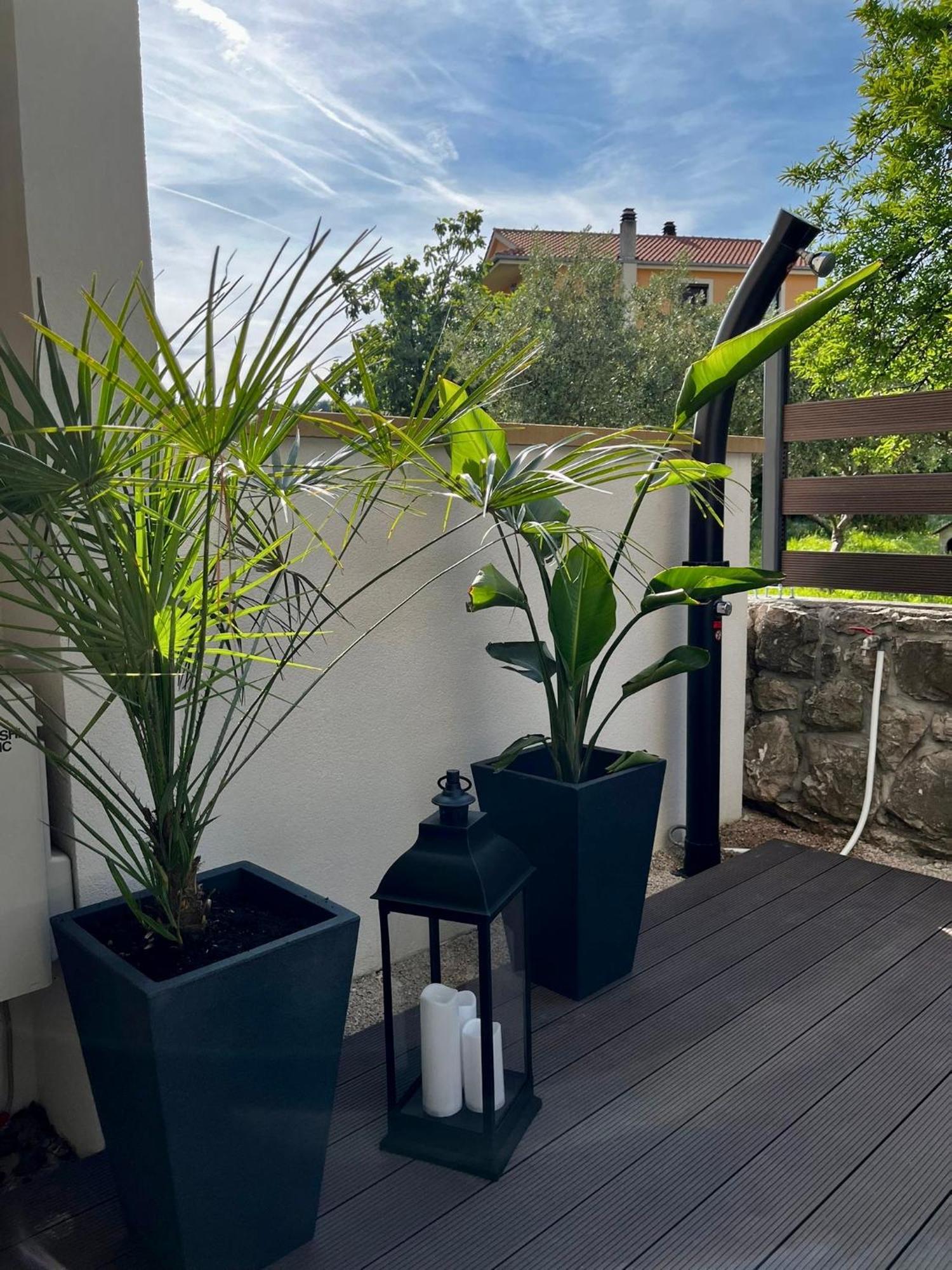 Studio Apartment Rosa Krk クルク エクステリア 写真